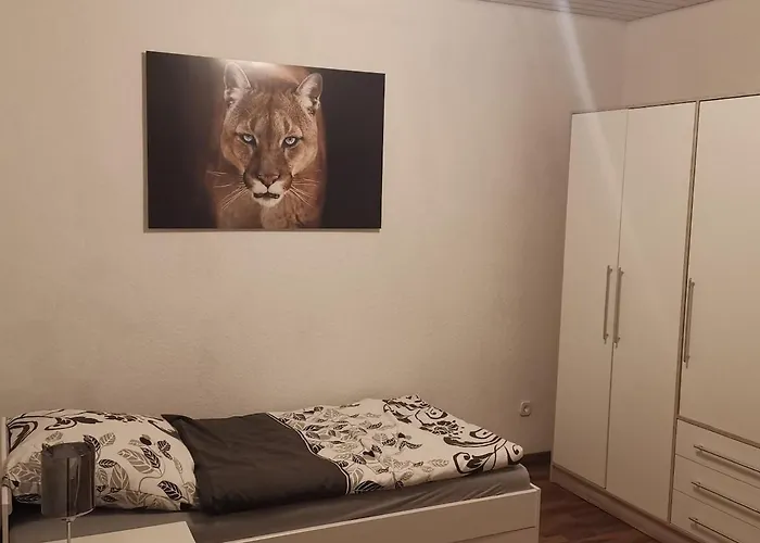 Schoene In Detmolder Innenstadt Appartement Detmold